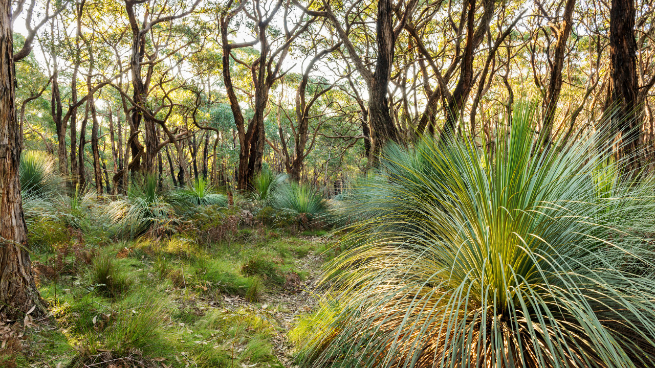 Read more about the article Protected: “Dear Violence”: Using process drama, narrative therapy and collective letters to explore and acknowledge students’ experiences of domestic violence in PNG — Dorothy Wanega and Jane Awi