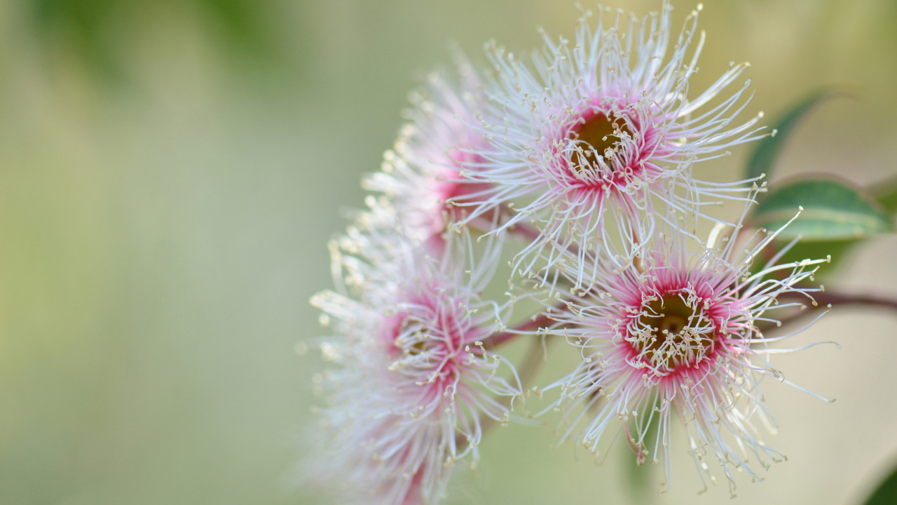Read more about the article Protected: Resilience Wardrobe: An outfit for coping with challenges — Şeydanur Tezcan Özer and Mehmet Dinç 