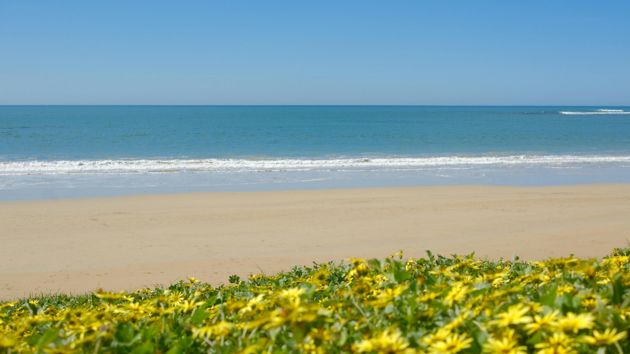 Read more about the article Protected: Cedar of Life — Teresa Taouk 