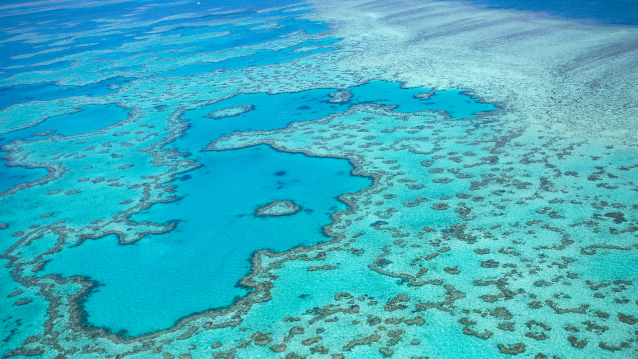 Read more about the article Protected: Walking in virtual forests: Using Minecraft to create digital Trees of Life — Paul Graham 