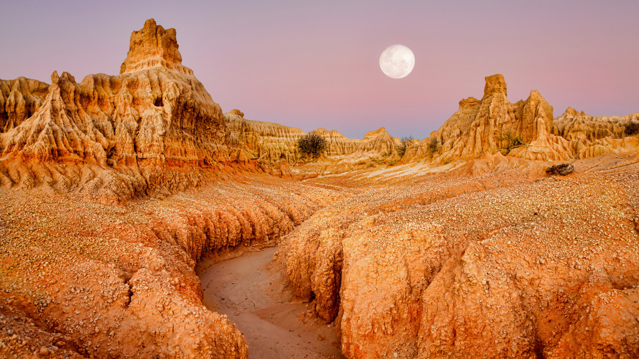 Read more about the article Protected: Resisting erasure: How Muslim women in India are responding to hate and hostility — Sara Asfiya Ali 