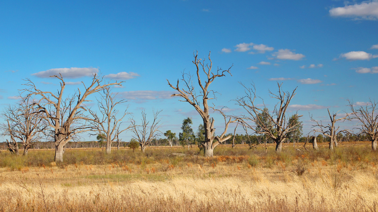 Read more about the article Protected: “In our own words”: Privileging unheard voices through theatre and storytelling to support health service staff — Sue Gibbons, Njinga Kankinza, Adam McGuigan, Kemi Coker, Ayeesha Miah and Naomi Harvey-Read