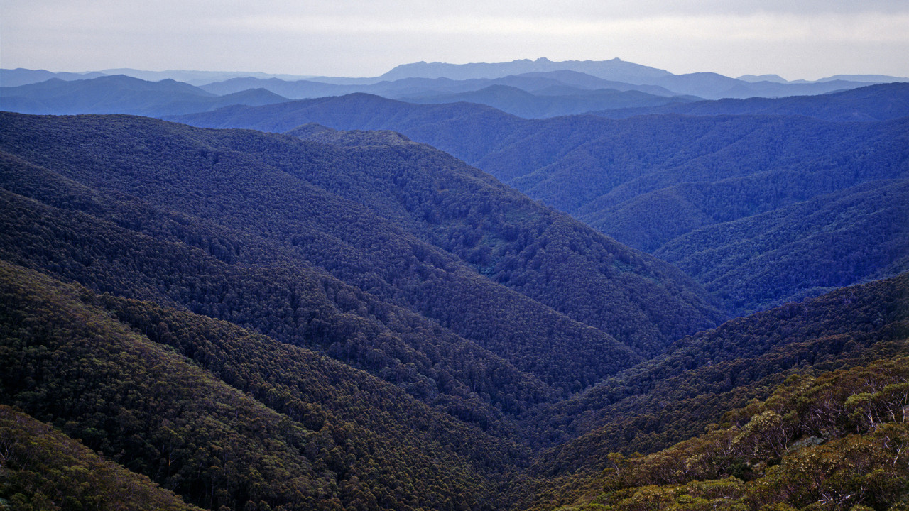 Read more about the article Protected: The Marathon of Life: Storytelling for healing and peace building with second-generation survivors of the Hiroshima and Nagasaki atomic bombings — Keiko Tsuzuki