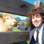 Young man in a suit with curly brown hair, petting a cow through a fence
