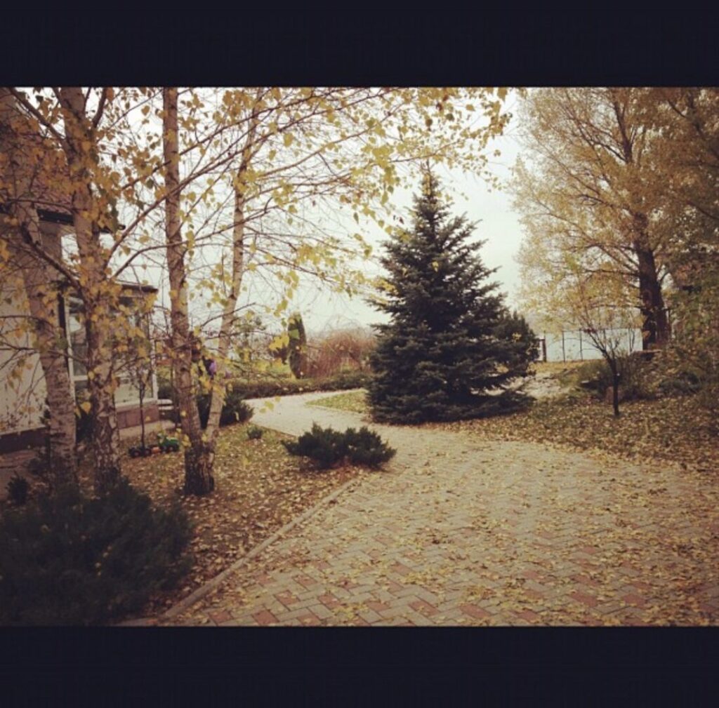 golden autumn trees around the paved garden path