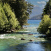 A river mouth with lush forest on each bank