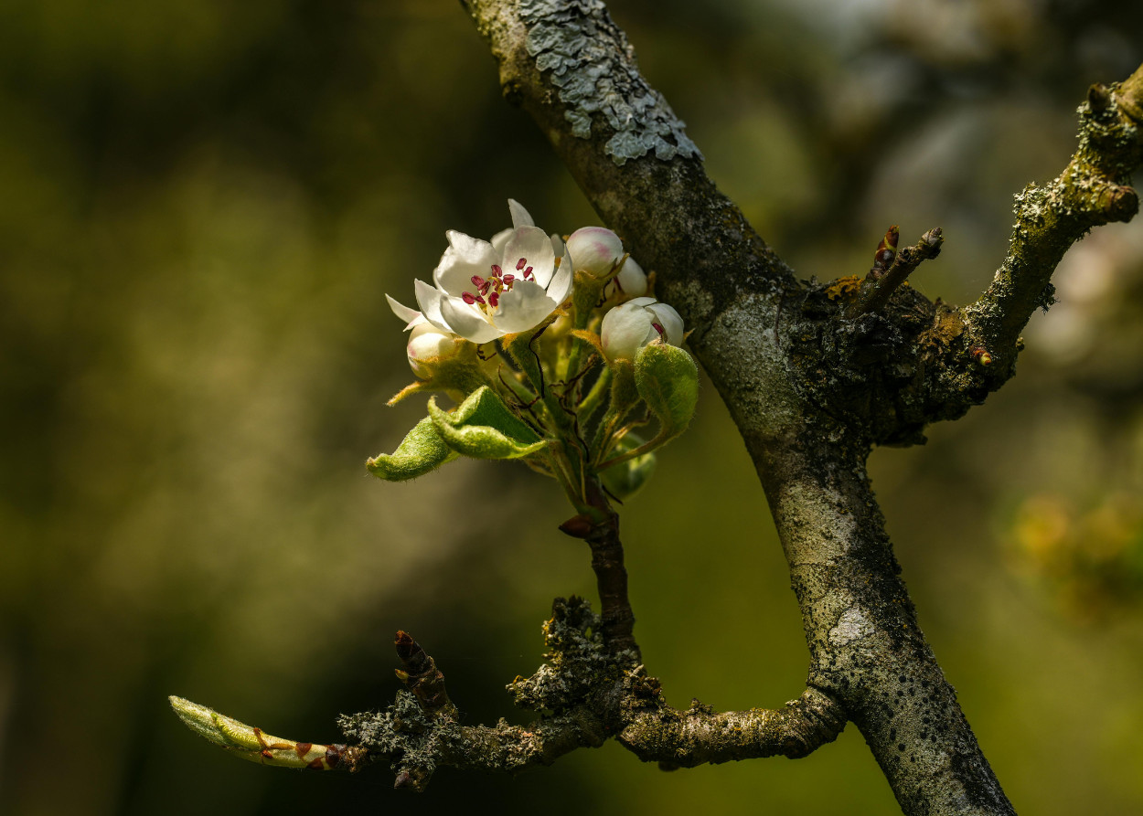 Read more about the article Protected: Moving beyond the limits of grief — Helene Grau Kristensen and Augusta-Lucia Grau Kristensen