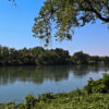 Calm river