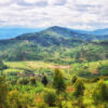 mountainous, grassy landscape in Rwanda