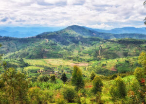 mountainous, grassy landscape in Rwanda