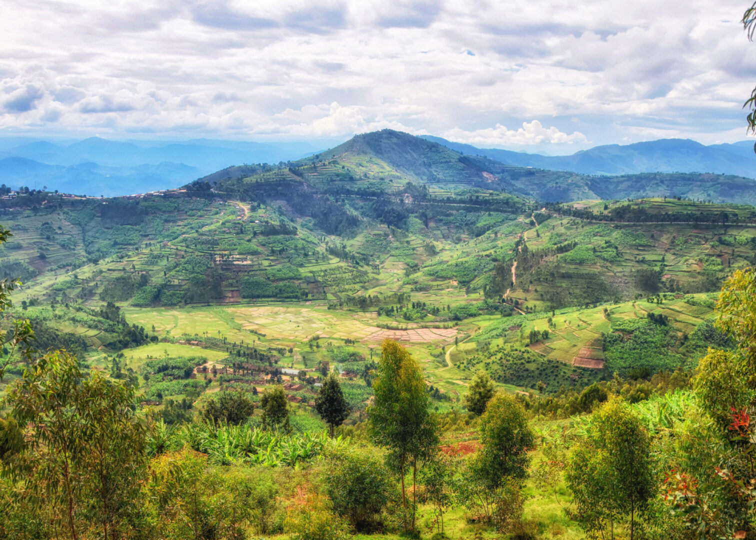 Read more about the article Protected: Rebuilding community after collective trauma — Adelite Mukamana interviewed by Nadia d’Or